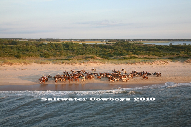 Aerial photograph of Chincoteague Saltwater Cowboys Portrai