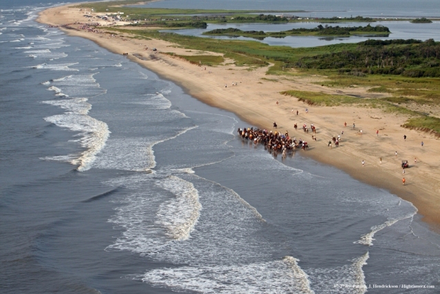 Aerial photograph of Chincoteague Ponies